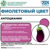 антоцианин